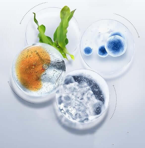 Four circular dishes showing various skin care ingredients and textures for acne, including clear gels and plant extracts.