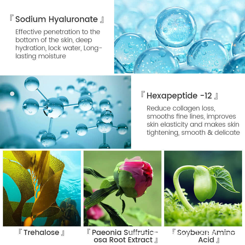 Illustration of key ingredients in skincare: Sodium Hyaluronate, Hexapeptide-12, Trehalose, Paeonia Suffruticosa, and Soybean Amino Acid.